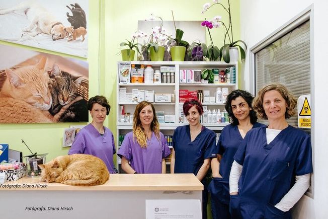 Clínica veterinaria Sant Marçal veterinarios